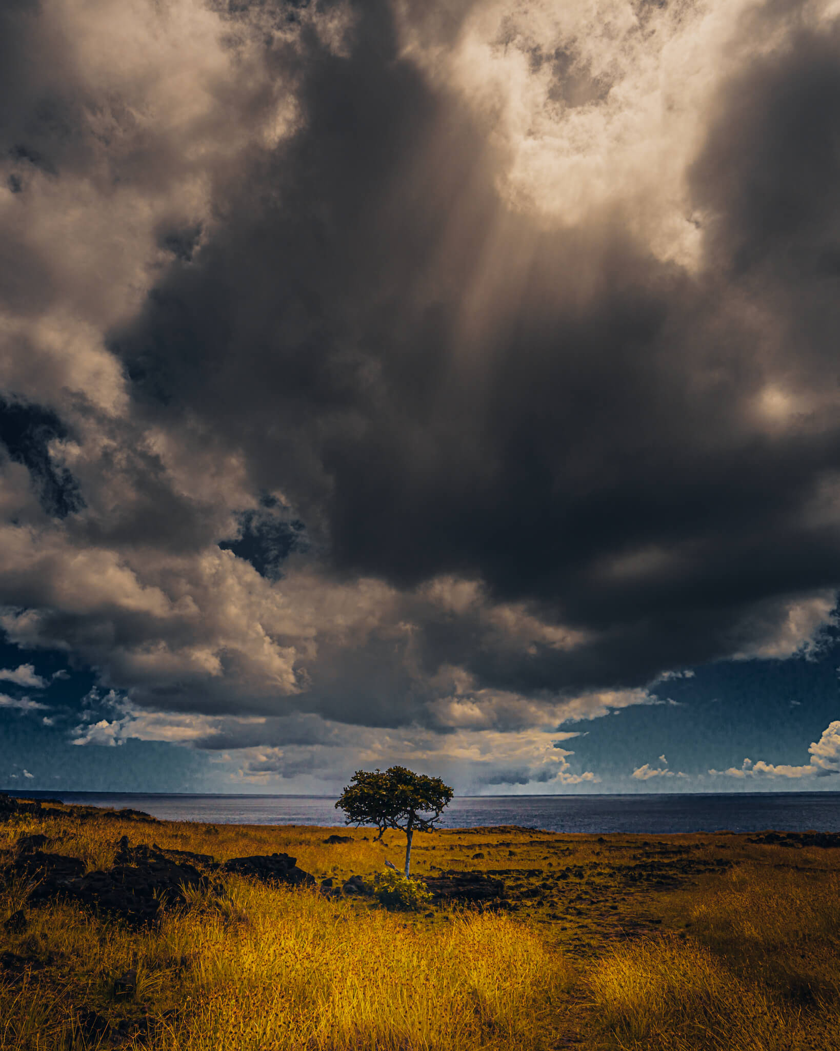 Ideas para proteger el medio ambiente a través de la fotografía