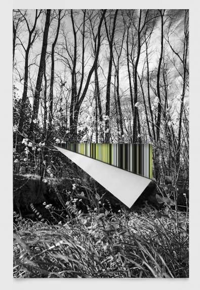 Ganadores Latinoamericanos SWPA 2021