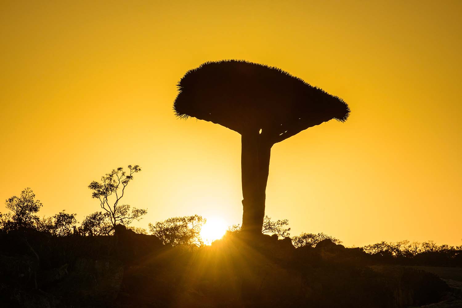Fotografiando los sitios declarados Patrimonio Mundial por la Unesco