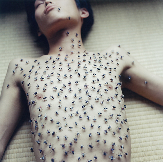SWPA: Rinko Kawauchi, Premio “Outstanding contribution to photography” 2023